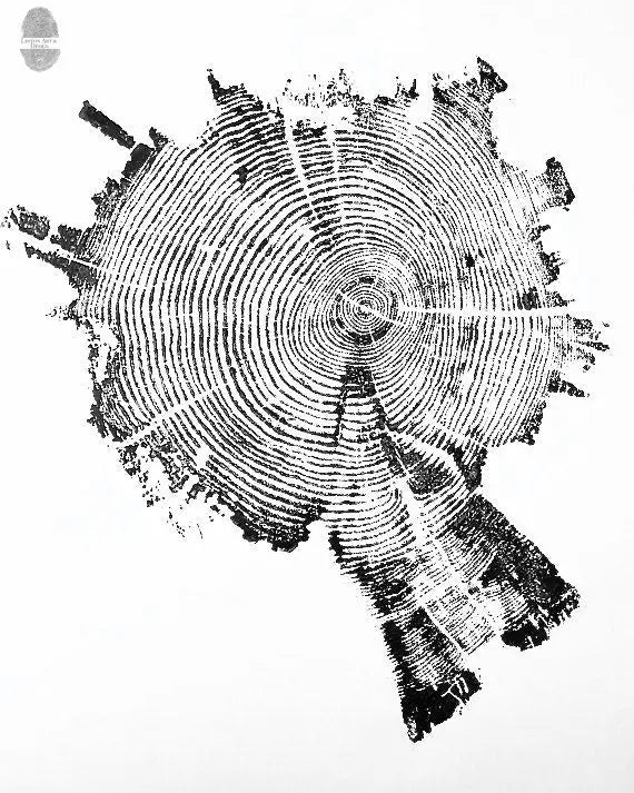 Yellowstone Pine II - 18x24 Print