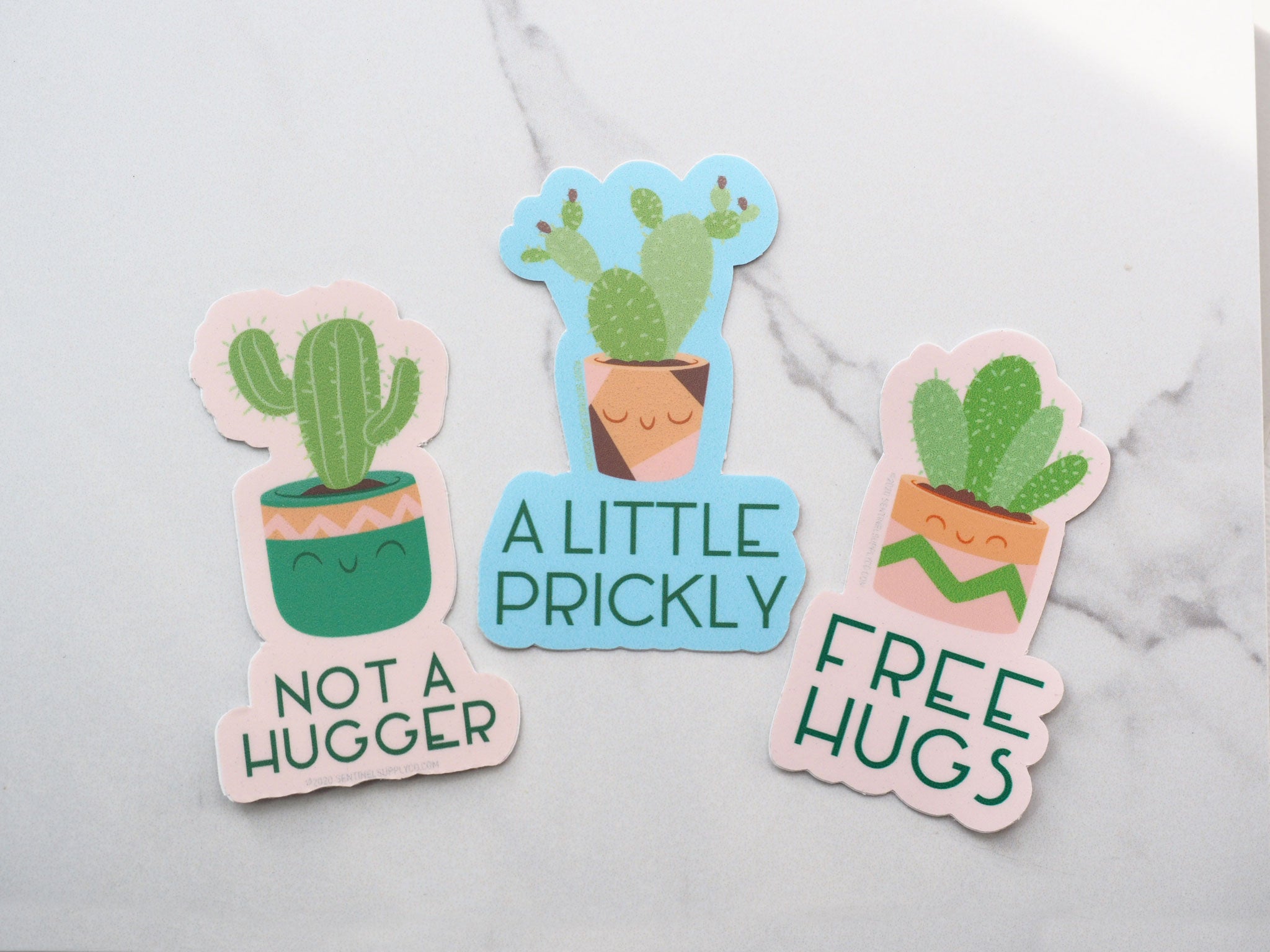A Little Prickly Cute Cactus Sticker
